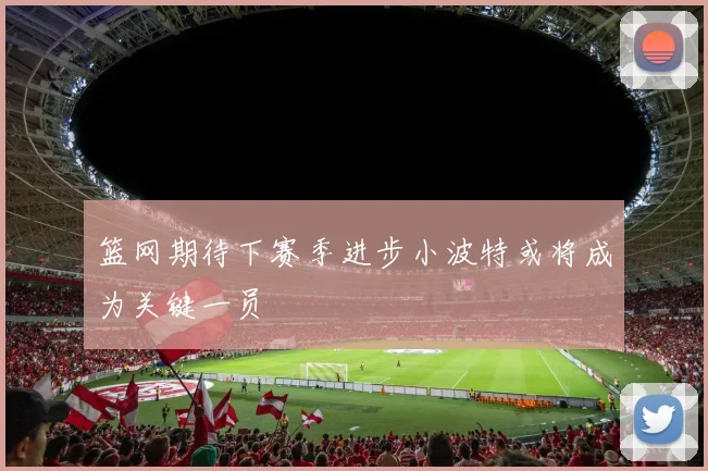 篮网期待下赛季进步小波特或将成为关键一员