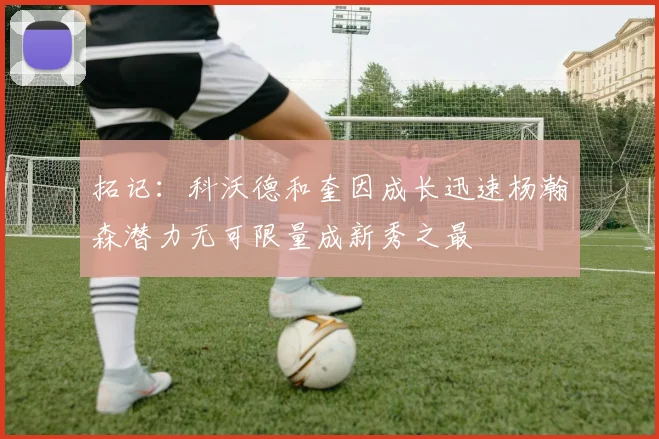 拓记：科沃德和奎因成长迅速杨瀚森潜力无可限量成新秀之最